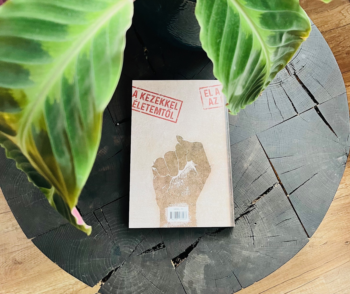 El a kezekkel az életemtől! - Image 3