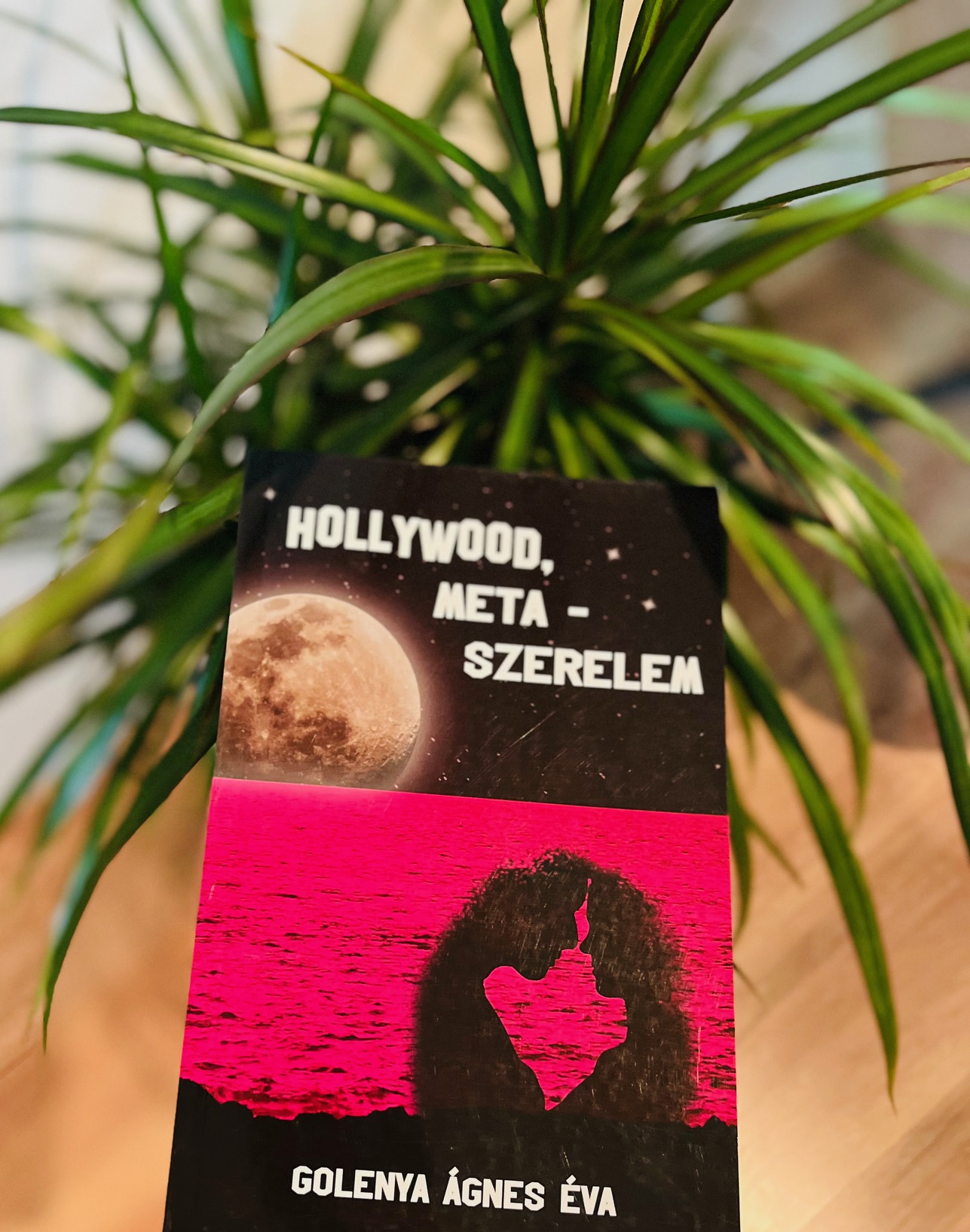 Hollywood Meta Szerelem